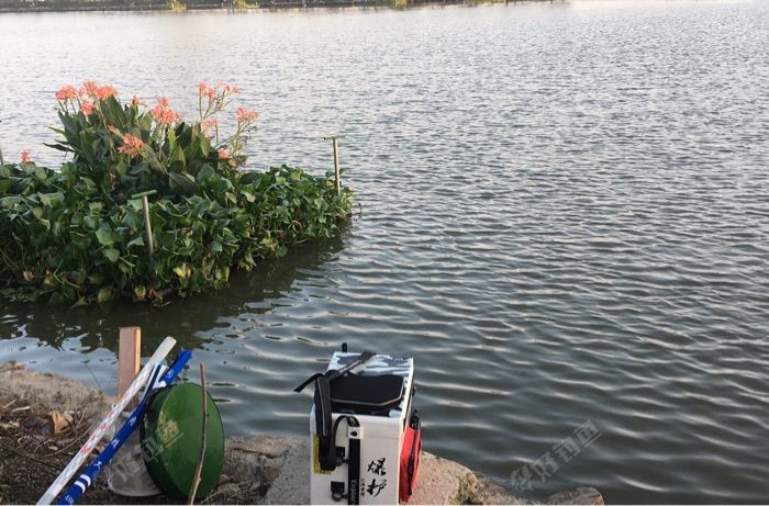 金清江滨村河段