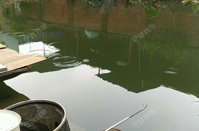 南庄罗滘村野钓点