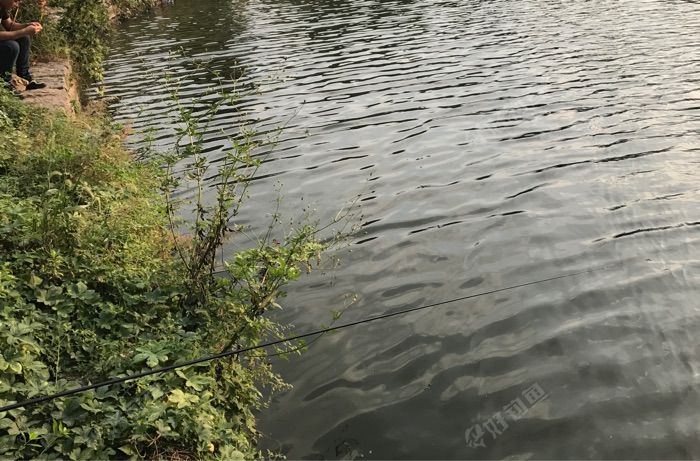 加油站西侧河流