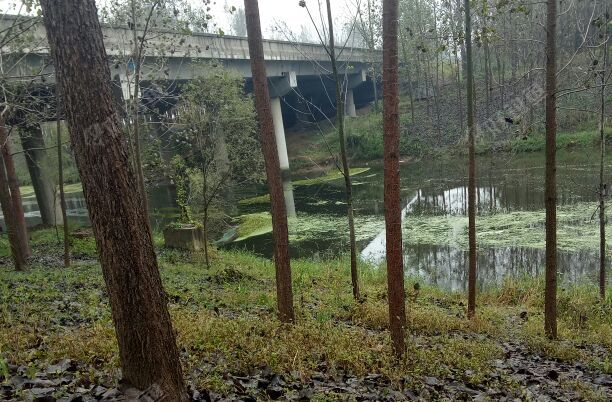 徐济高速高架桥下
