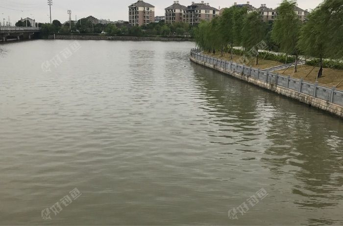 新河江滨公园清水河畔