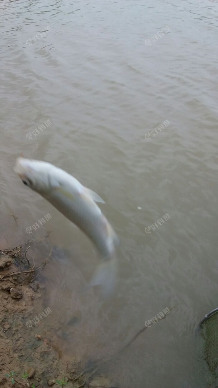 20171012_120411.jpeg 20171012_120411.jpeg