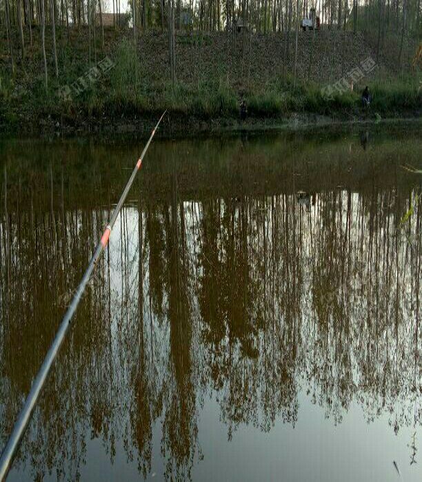 沛县家绪垂钓园