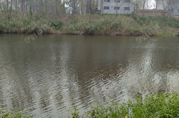 陈楼庄后鹿口大河