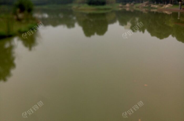 碳素厂北面野塘