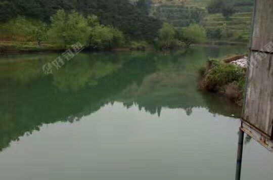 新碧·罗罗渔乐园