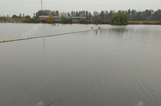 沛县任庄垂钓园