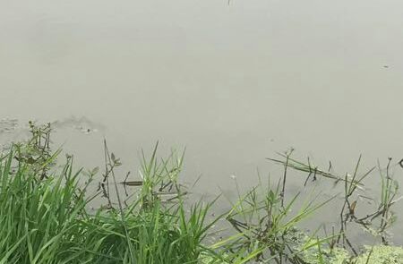 大润发南边野塘