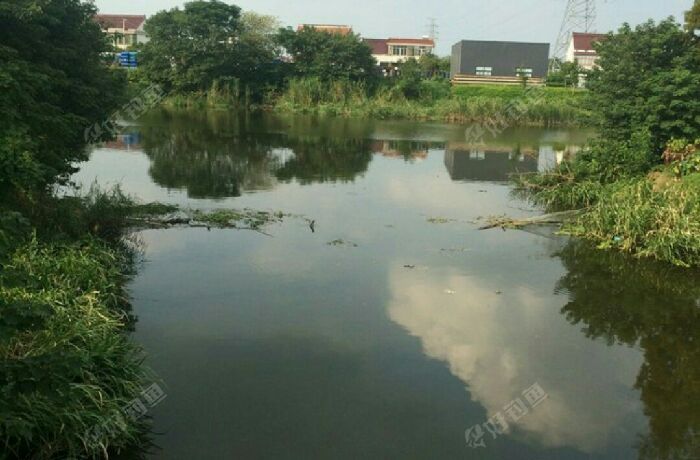 上窑村衢江到灌水域