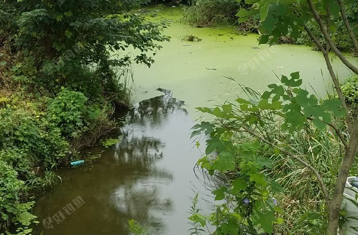 丹阳南二环下廖马村