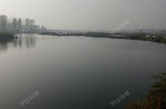 槐河尽头低洼地河村村北野塘