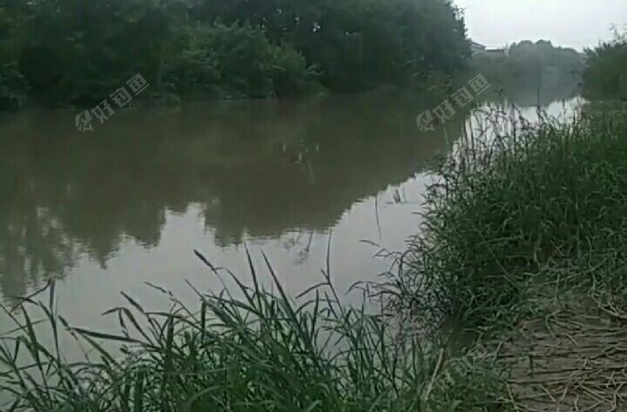 高贩村附近野河