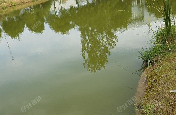镇江丹阳市通港路运河桥边上