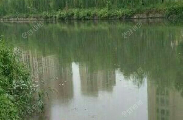 蓬溪花园外小河