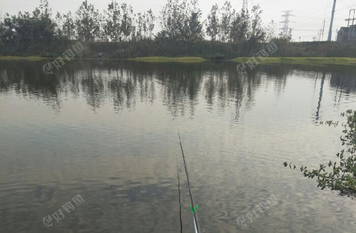 沙集镇大顾村杜庄