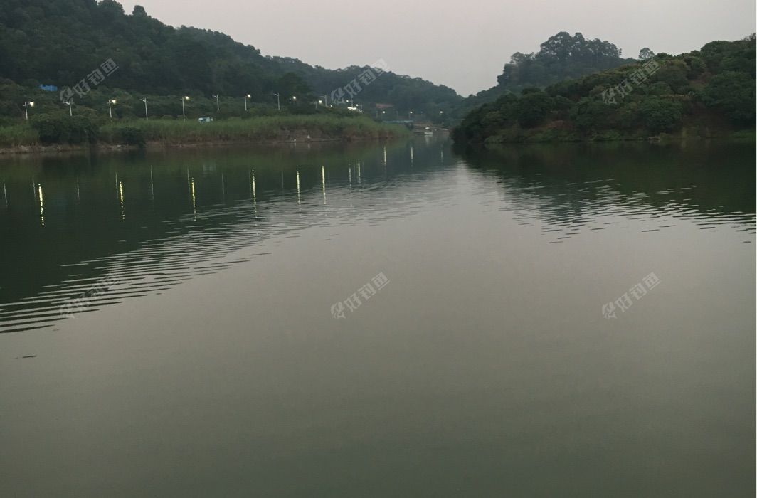 水上牧场钓鱼场