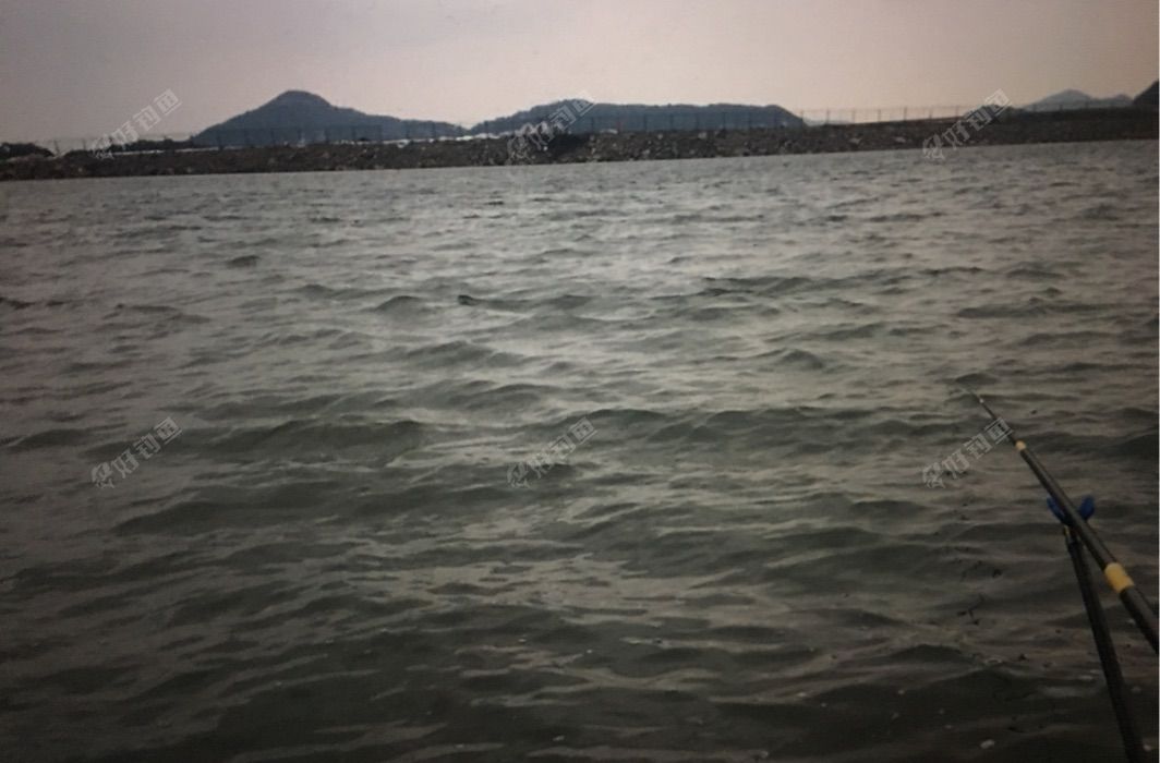 剑门港樟树头钓点