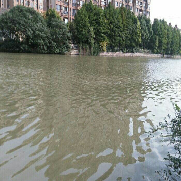 北场二小区钓场