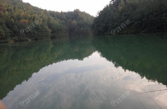 桃园湖垂钓中心