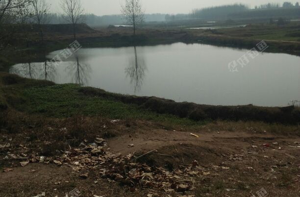 福喜食品厂南废弃养鱼坑