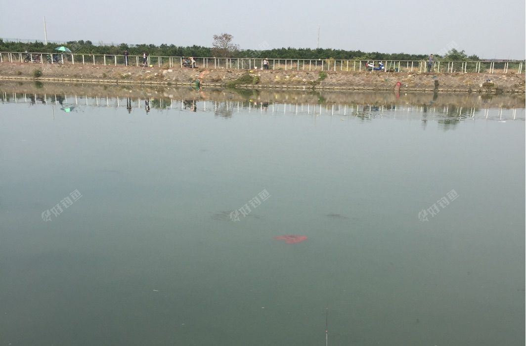 乌溪江大桥上游