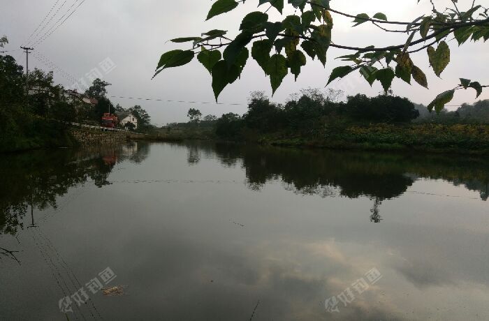 长龙湾孔四钓鱼场
