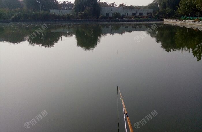 意德牧业垂钓江湖