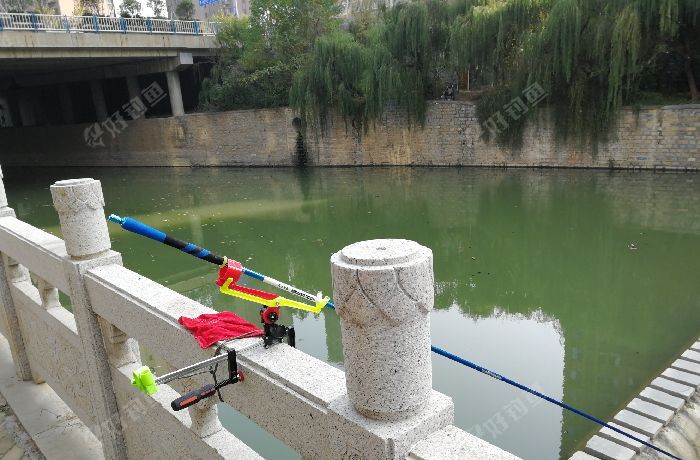 兴济河泉景天沅段