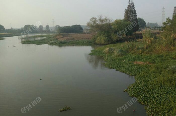 贺邵溪村河道上游