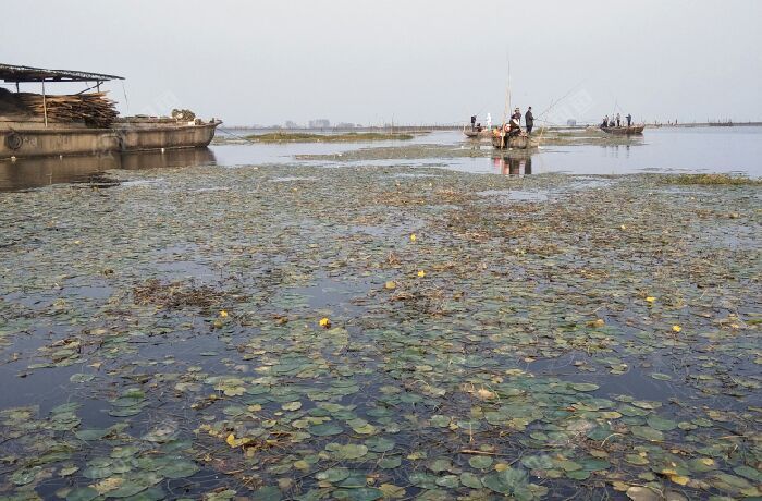 泗洪中扬镇湖区