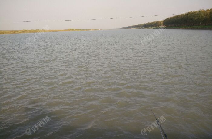 新沂河南偏泓100段