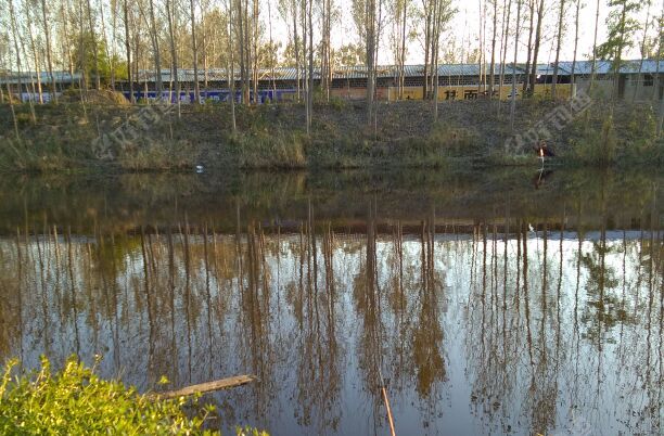 唐楼桥西鹿口河