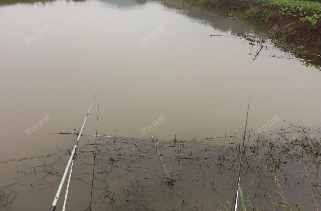 保山渡漕下乡河