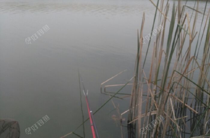 黄河大坝泥浆坑