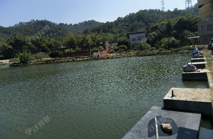 水口渔乐多钓场