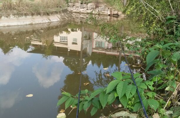 金土地工程修的灌水渠