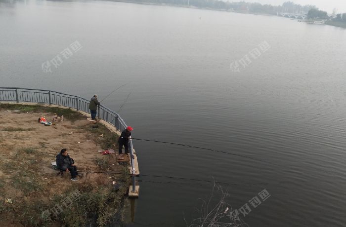 黄河路野钓