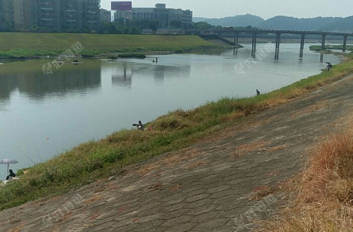 高明西海水道野钓场