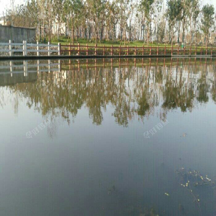 叶家青年公寓钓场