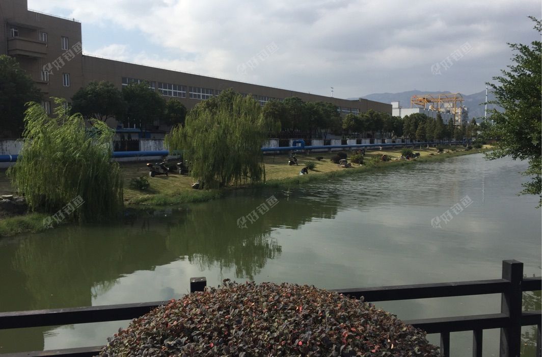 龙湾区滨海十路丁香路桥