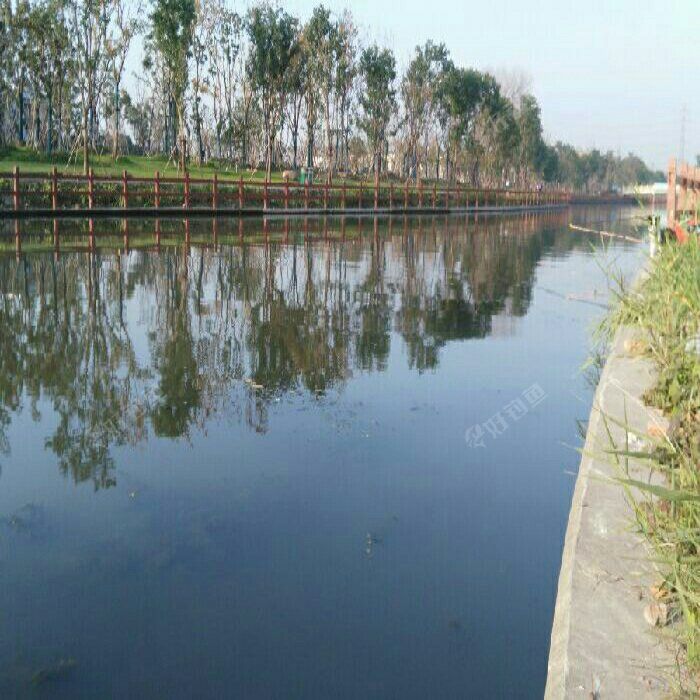 王家宅小区钓场