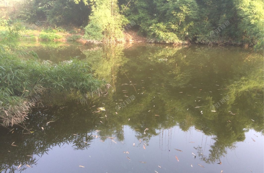 野河（杨家桥）