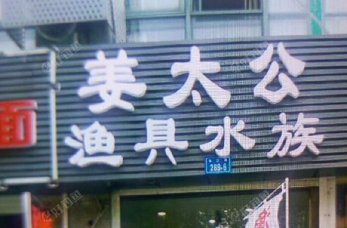 姜太公渔具水族