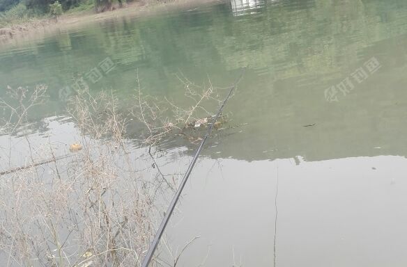 苦溪河与长江接口