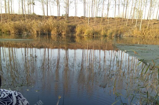 蒋王庄前面鹿口大河
