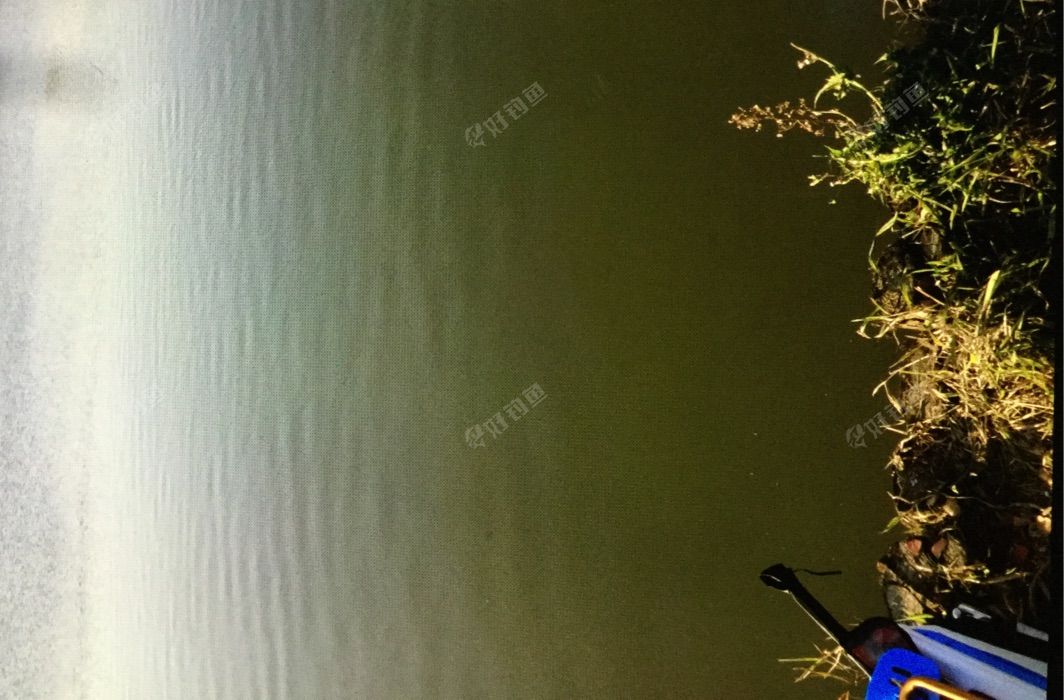 百合大道红卫桥