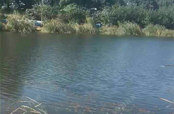 通港路中国石油对面野糖