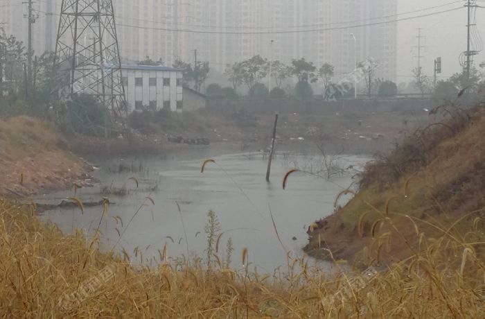 佳兆业上面野塘