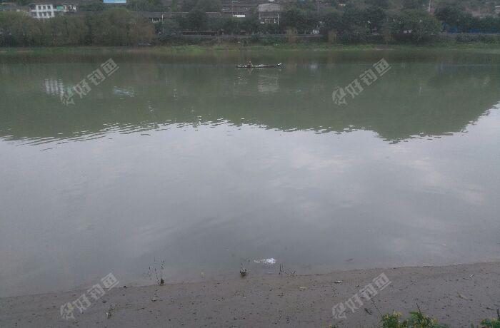 小河边浮桥野钓