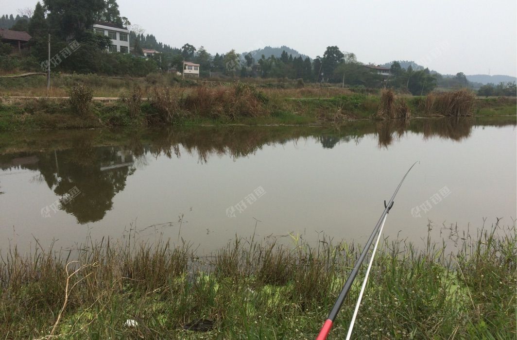 会龙镇保山赵家堰